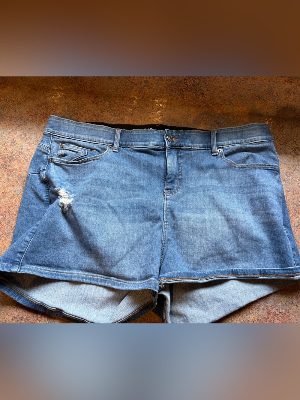 Torrid shorts